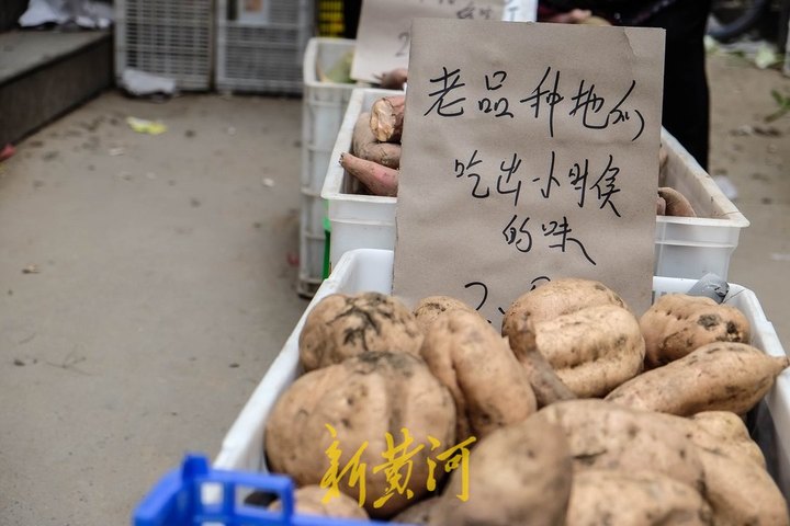 为什么网购变得越来越流行,网购对菜市场的冲击