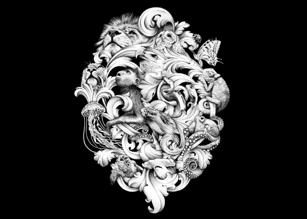 创意包装设计简约也是一种美,令人心动的10款包装设计