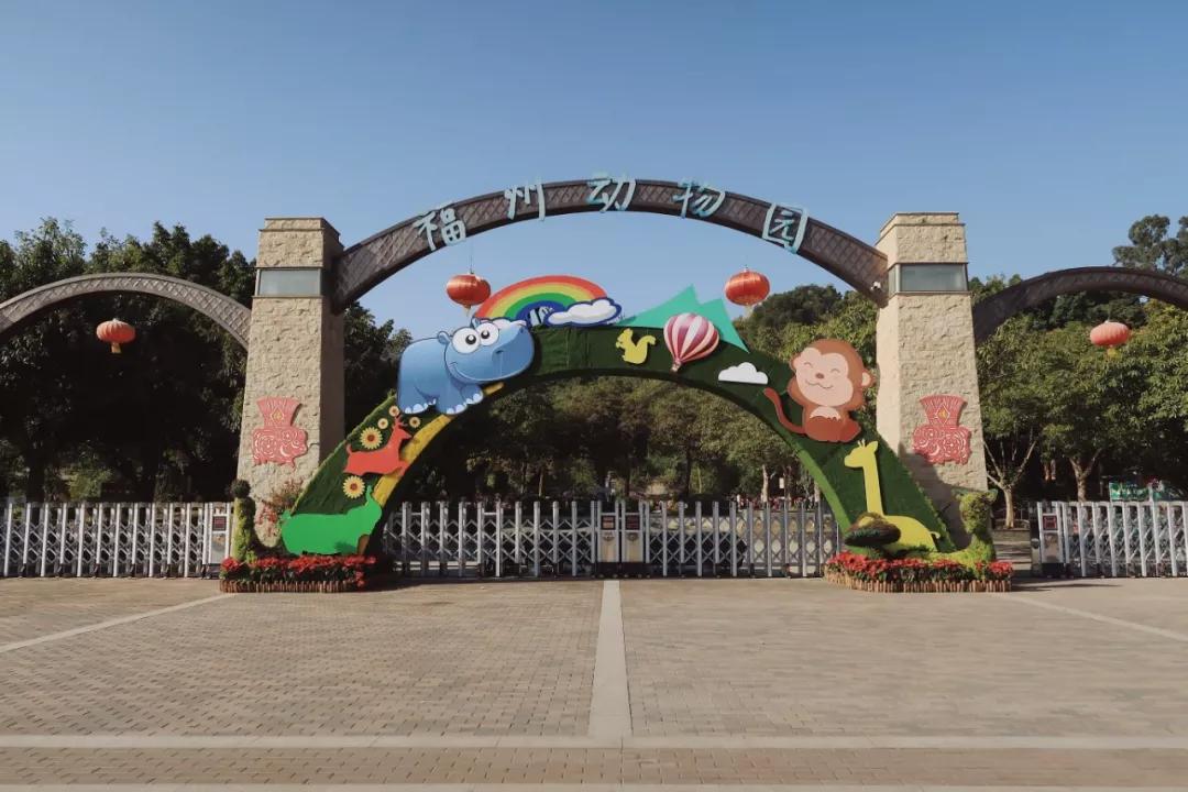 在动物园散步才是正经事|暴走福州
