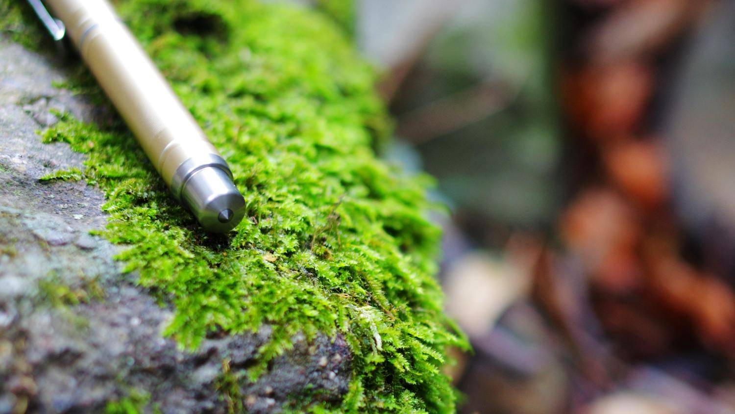 閿嬭姃鍐呮暃妫辫娣辫棌,閿嬭姃鍐呮暃妫辫娣辫棌鍑哄