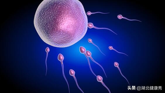 试管婴儿的成功率是怎么算的,试管婴儿成功率怎么算