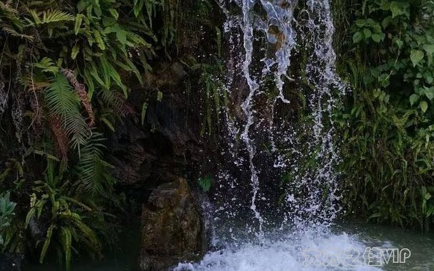 华为p50pro相机专业模式教学,华为mate40相机专业拍摄教程