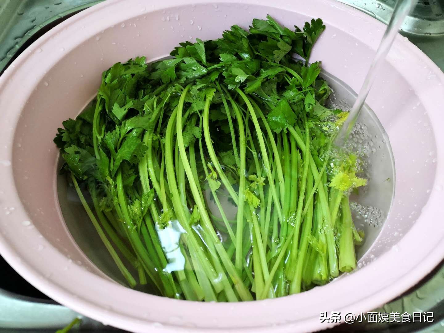 奶奶做的浆水,老浆水的制作方法