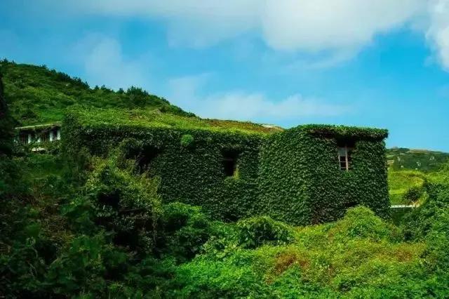 上海附近适合三五天游玩的海岛,离上海最近的绝美海岛