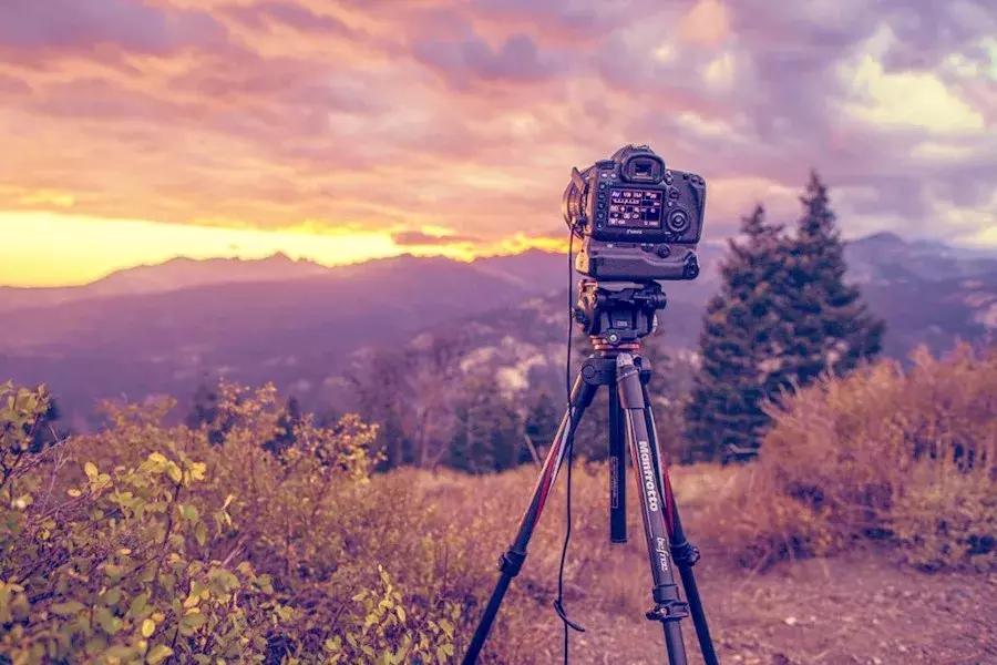 拍鸟三脚架什么品牌好,怎么挑选三脚架的高度