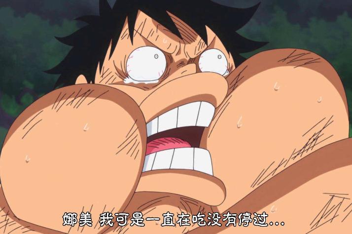 路飞得知自己吃的不是橡胶果实,为什么设定路飞是橡胶果实能力