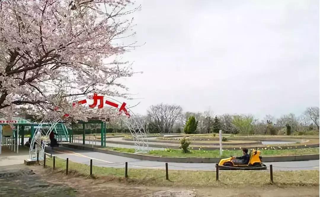 日本农场营收10亿经营秘诀,日本妈妈牧场怎么运营