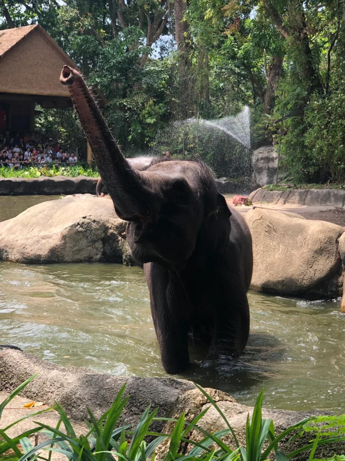 新加坡经典一日游,新加坡一日游必去景点