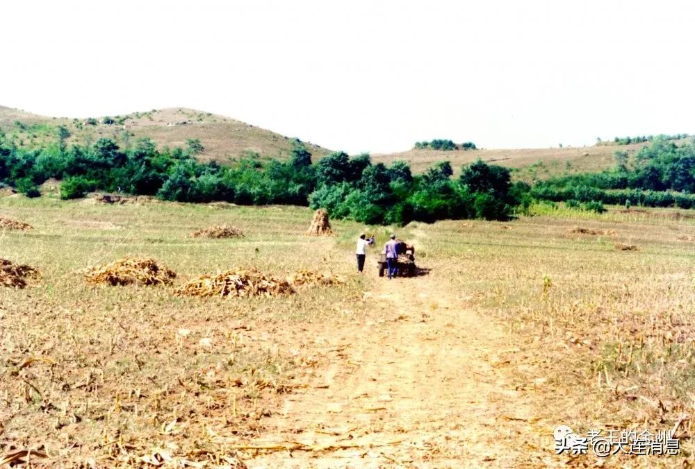 大连开发区银帆宾馆,大连银帆宾馆值多少钱