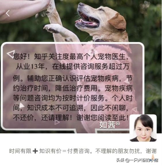 朋友圈人格化运营定位，让你的logo闪闪发光