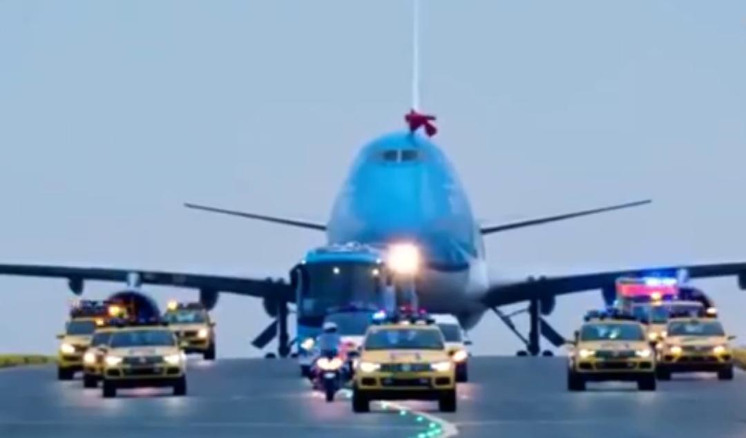 外国人为什么这么喜欢大熊猫呢,外国人究竟有多爱大熊猫