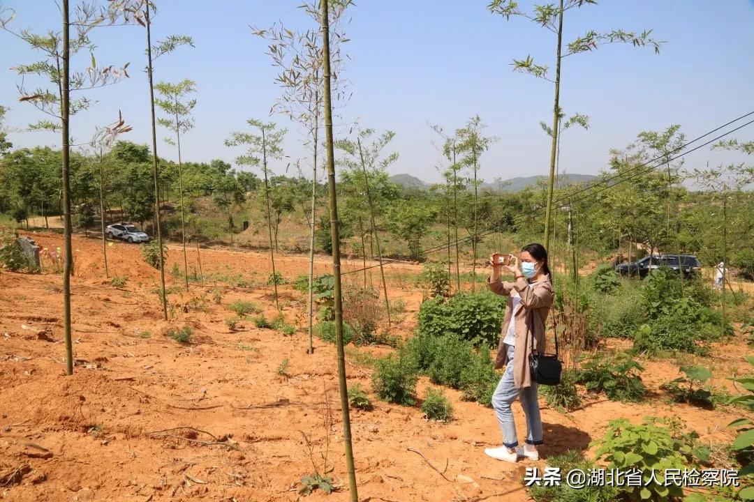 垃圾场不见了怎么办 (收回垃圾场照片)