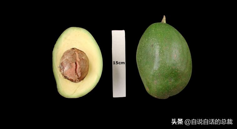 牛油果是坏了吗,牛油果几十年前