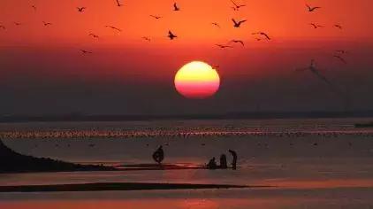 夏天去海岛避暑 (最适合端午的海岛)