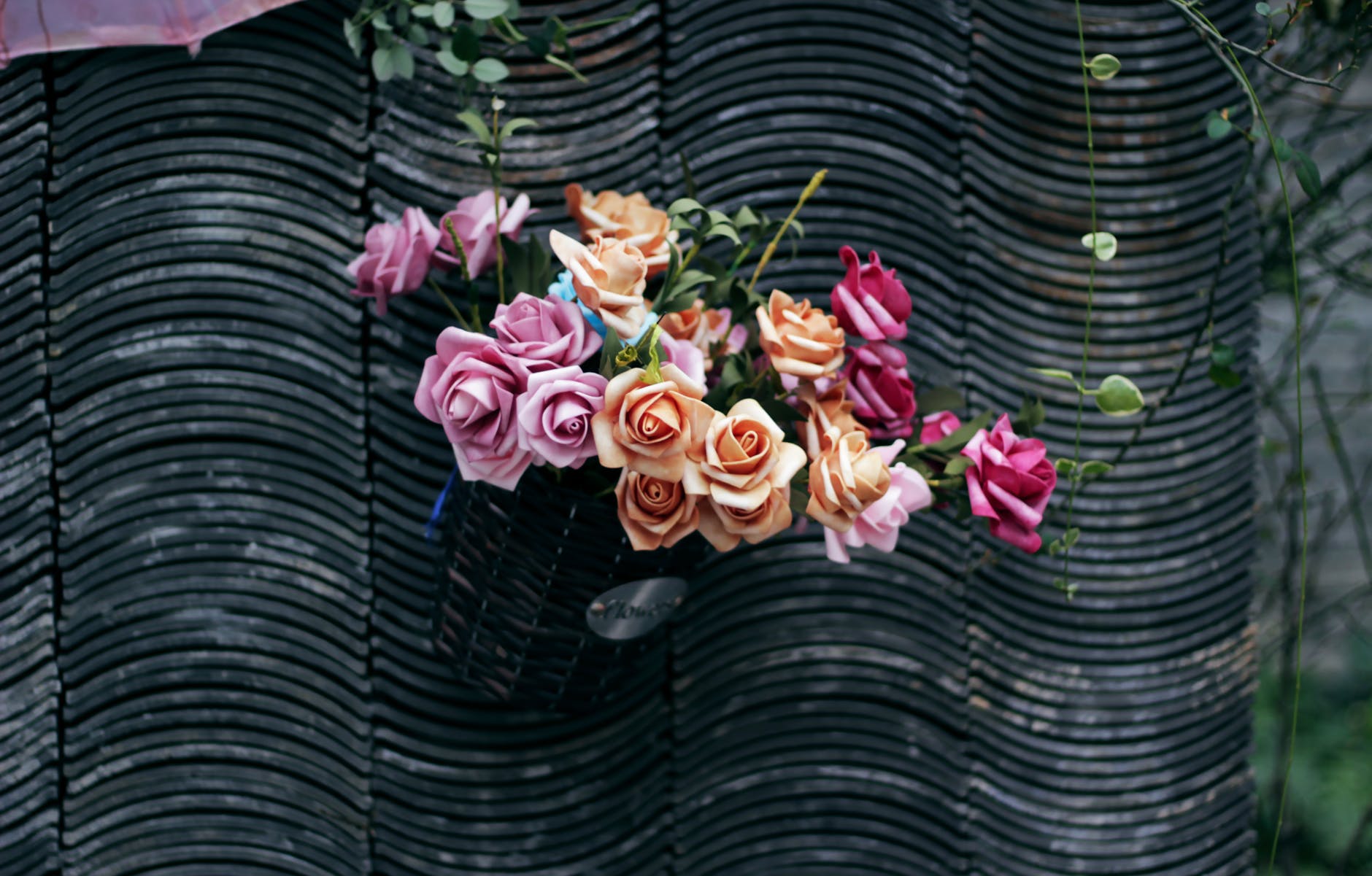 后来我才发现,我还是戒不掉你