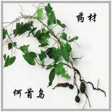 古人防脱发戴假发,古代脱发有什么奇招