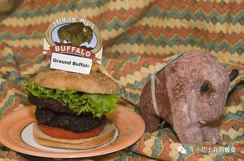 印第安人狩猎美洲野牛,美洲野牛印第安人