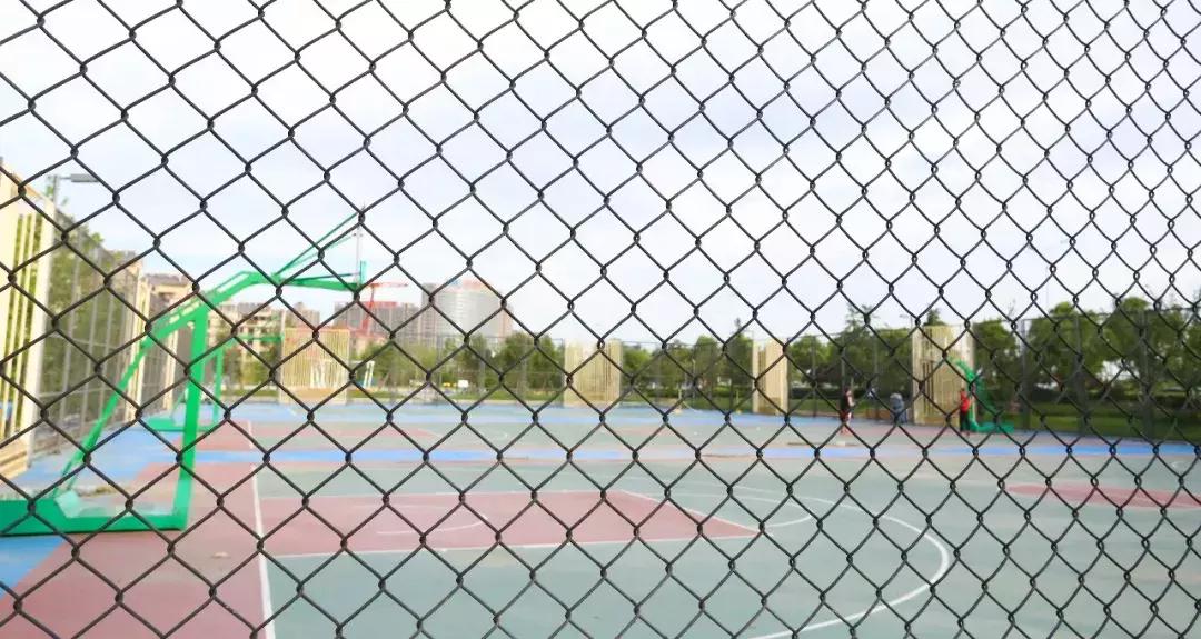 沈阳篮球约球攻略,临沂约球