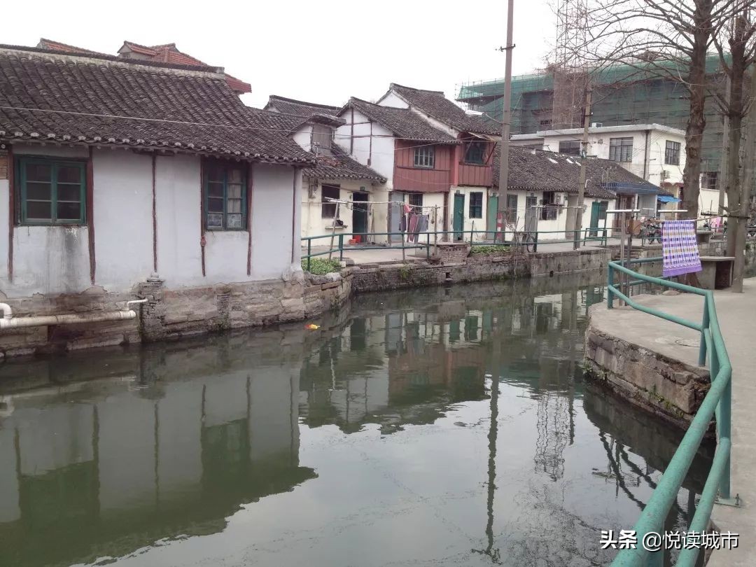 金秋赏“金”：新老照片对比金山发展老金山都不一定认得全