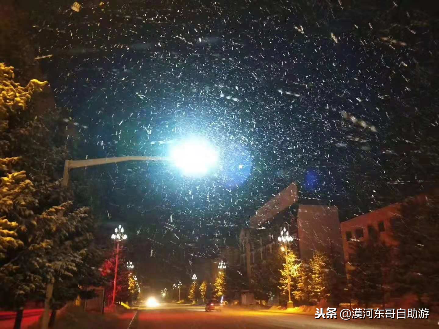 漠河旅游团暑假,漠河雪乡旅游小团