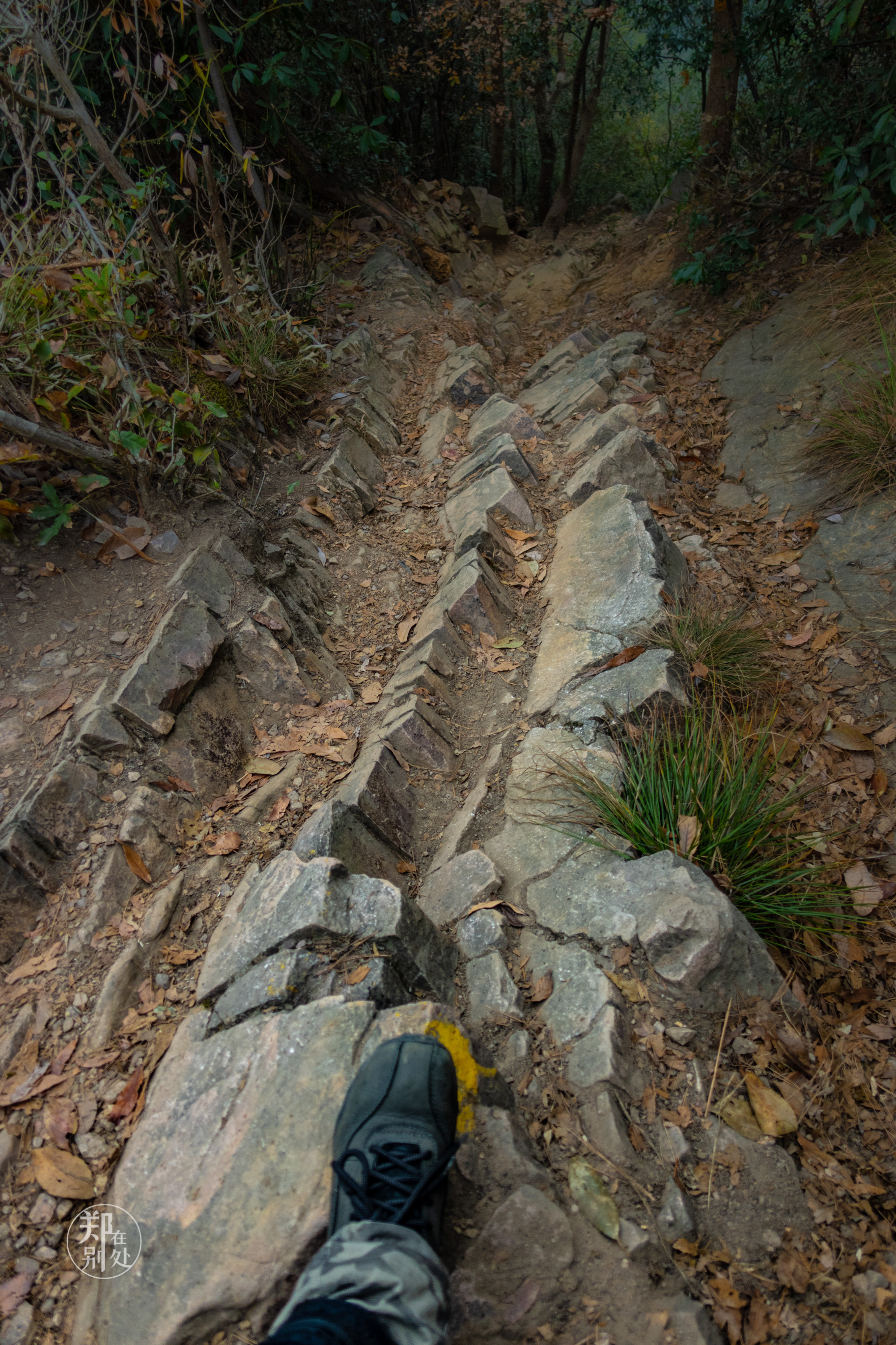 杭州登山徒步经典路线图最新,杭州登山路线