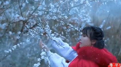 妯′豢鏉庡瓙鏌掍镜鏉冨悧,灞卞鏉庡瓙鏌掍镜鏉冨悧