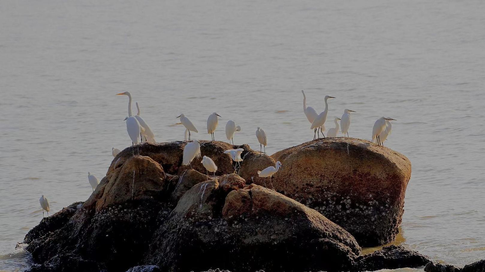 珠海十大打卡景点排名第一,打卡珠海热门景点你了解多少