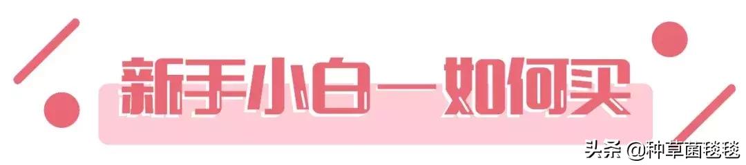 日常正确化妆顺序新手化妆顺序,化妆新手学化妆