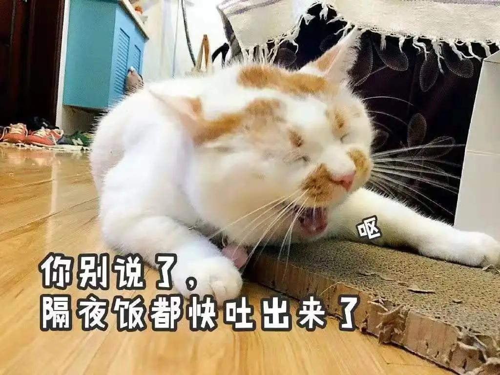 淦！给猫挤肛门腺喷到笔记本键盘上了