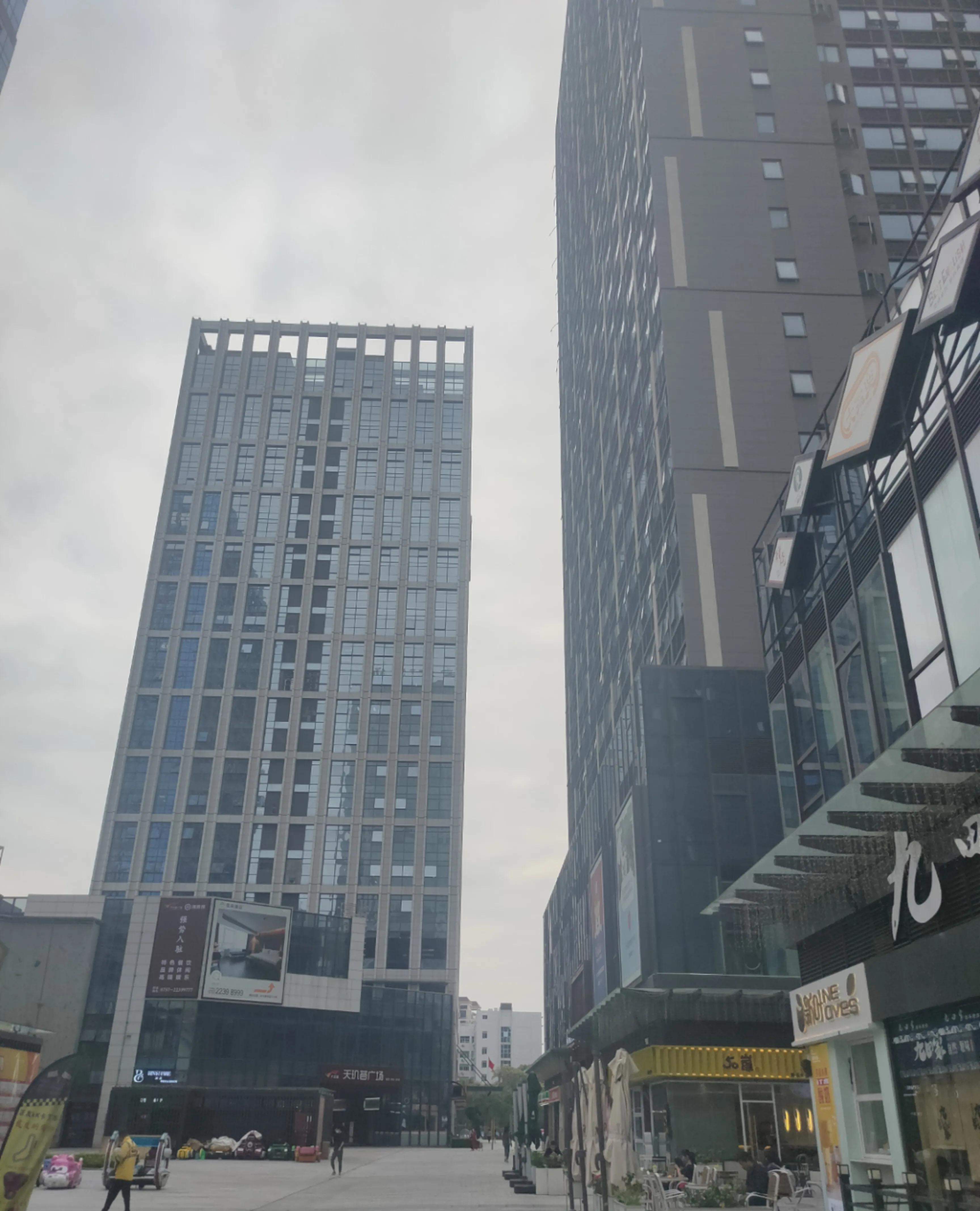 偌大的城市我的栖身之处在何处,偌大的城市容不下一个漂泊的灵魂