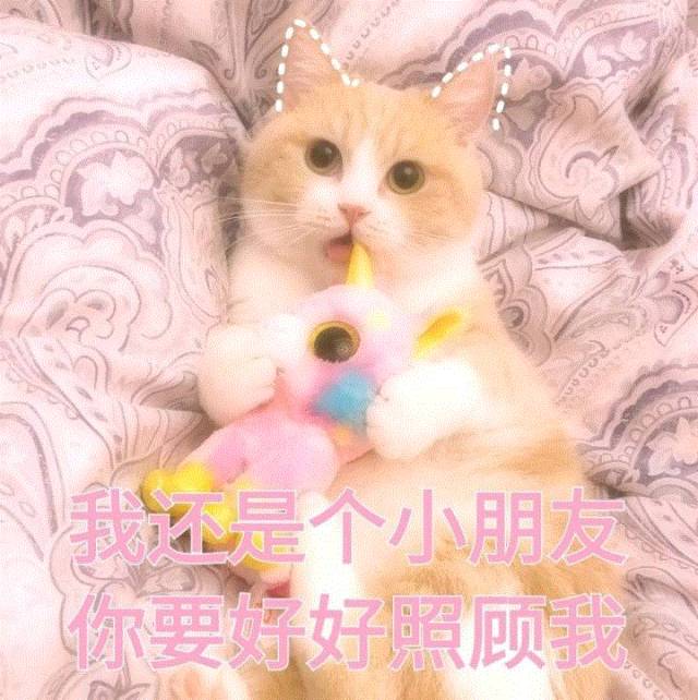 撩小男生的表情包,害羞小哥哥表情包