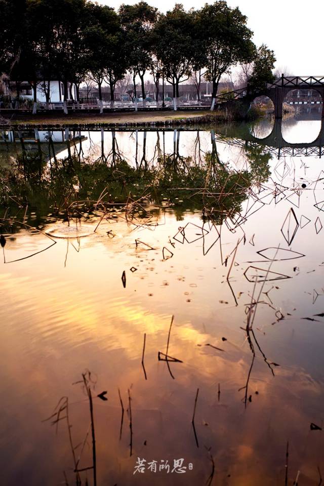 游走在沙家浜湿地公园,沙家浜风景区湿地渔乐园