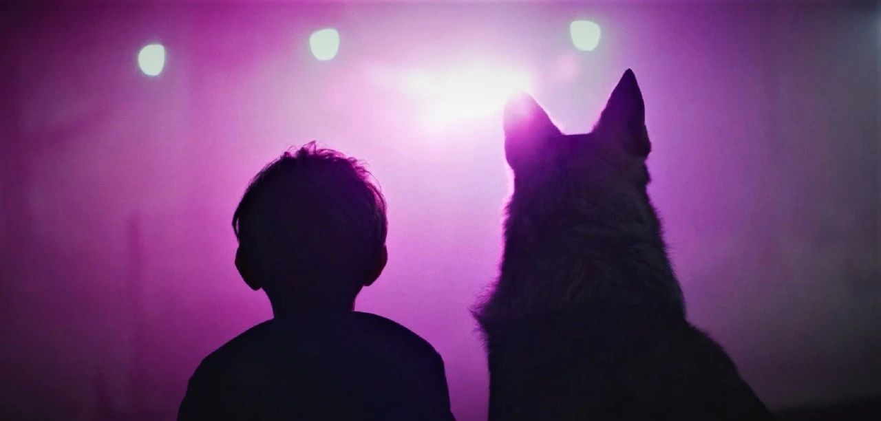 沉沦了10年，这3部B级恐怖片，或将是这位昔日影帝的出路