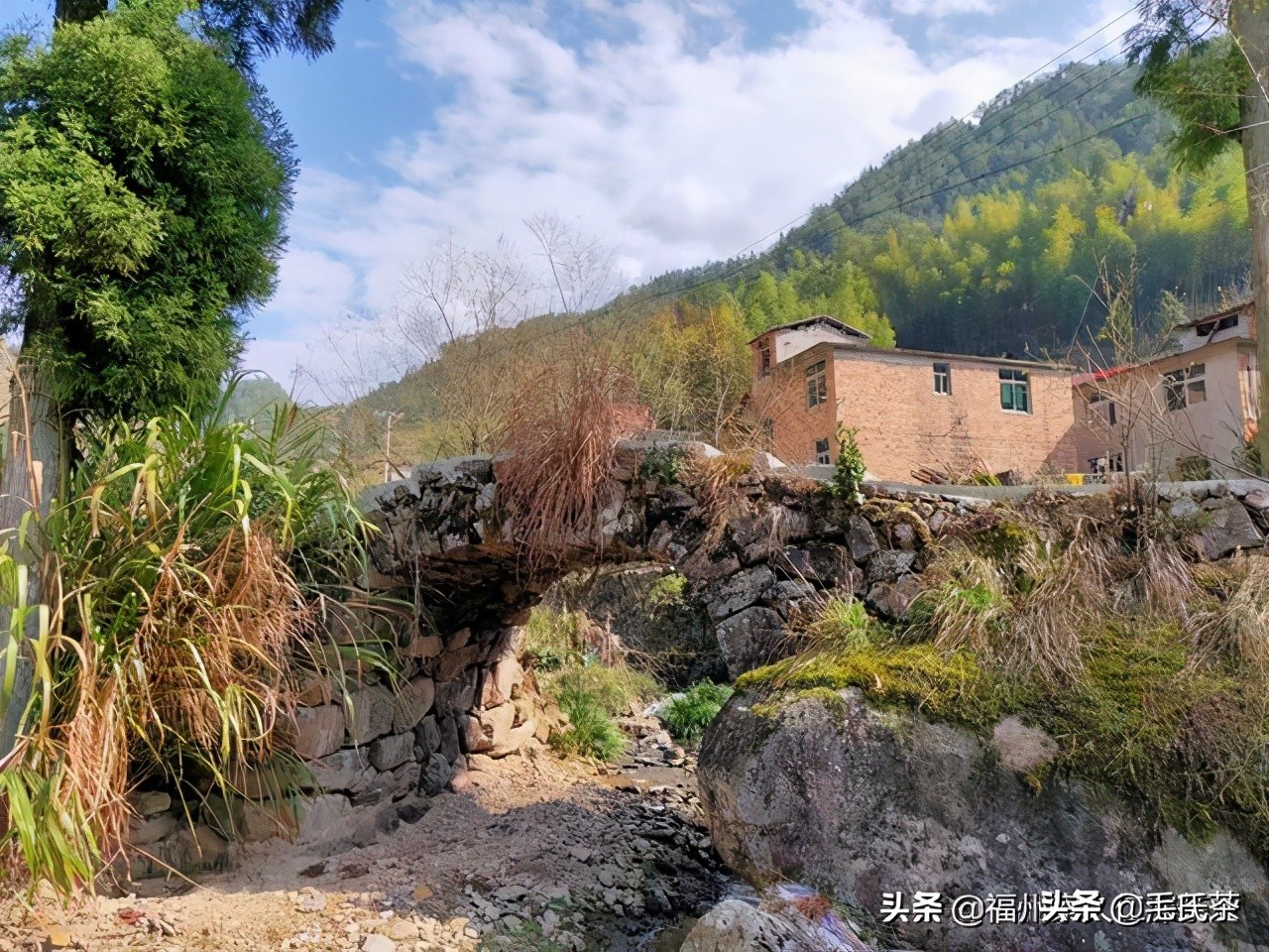 7.毛强生‖一杯会说话，有故事，人人喝得懂的茶（创业者自述）