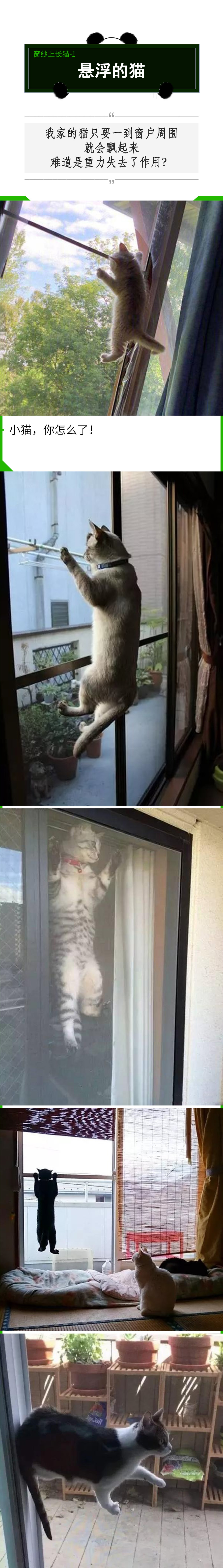 有纱窗为什么家里总有蚊子,有防盗网的房间窗户防蚊纱窗