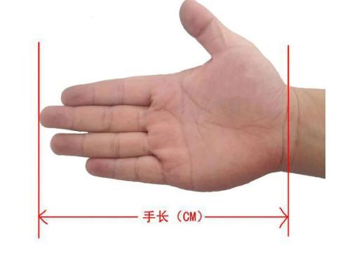 12月鼠标选购指南,鼠标选购推荐