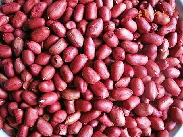 花生为什么叫番豆,花生豆为何叫花生米