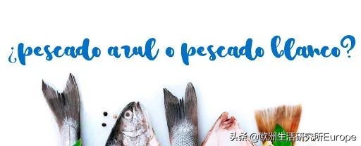 西班牙超市最全的鱼类挑选指南！据说这种山寨鱼对人体大大有害？
