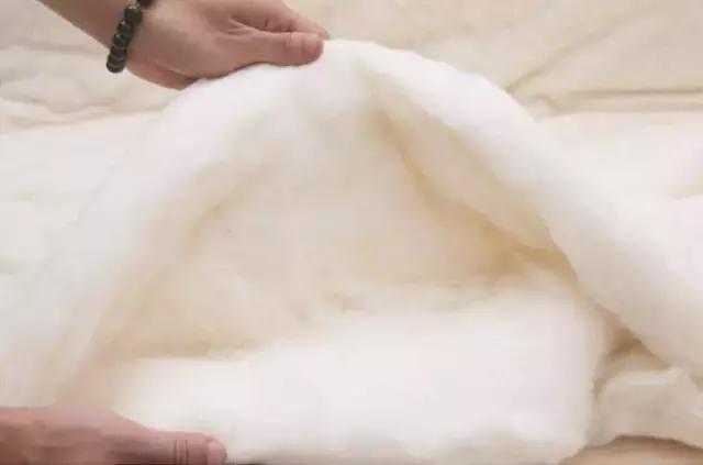 被芯的填充物哪种好,被芯的填充物有哪几个