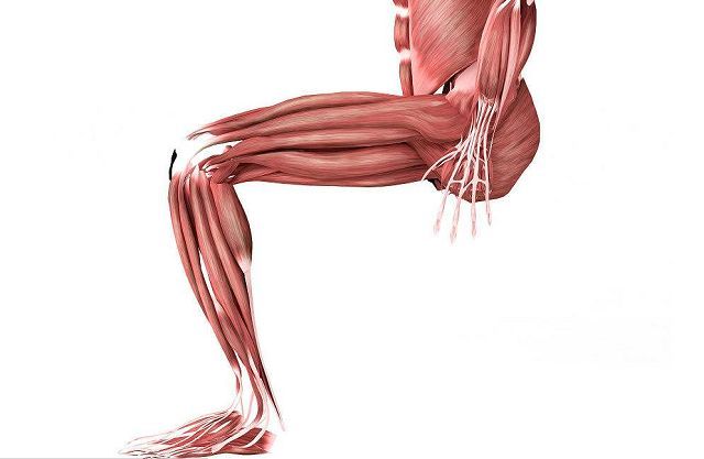 小腿和大腿都粗该怎么瘦腿,小腿太细腿弯怎么练