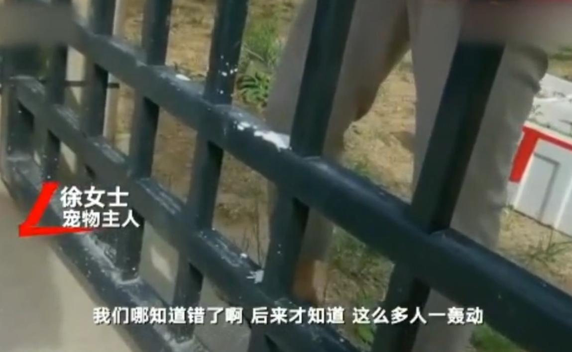 寻狗赠送北京一套房物业回应,寻狗赠房