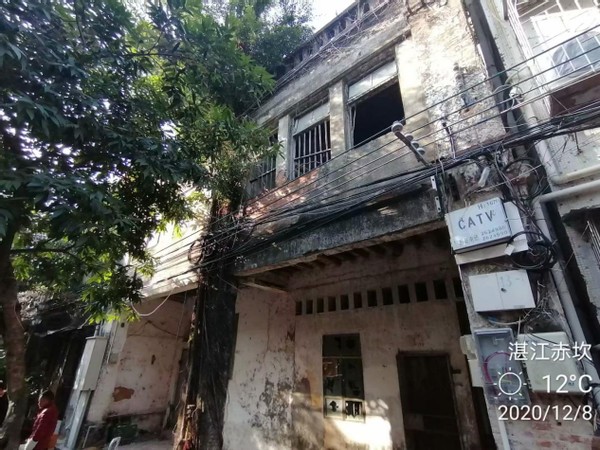 南国景色不曾秋,四时风光长如春,四)——广东行随笔之湛江篇