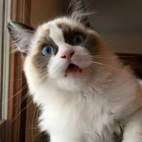 手机充电的时候着火怎么办,手机半夜充电起火怎么办