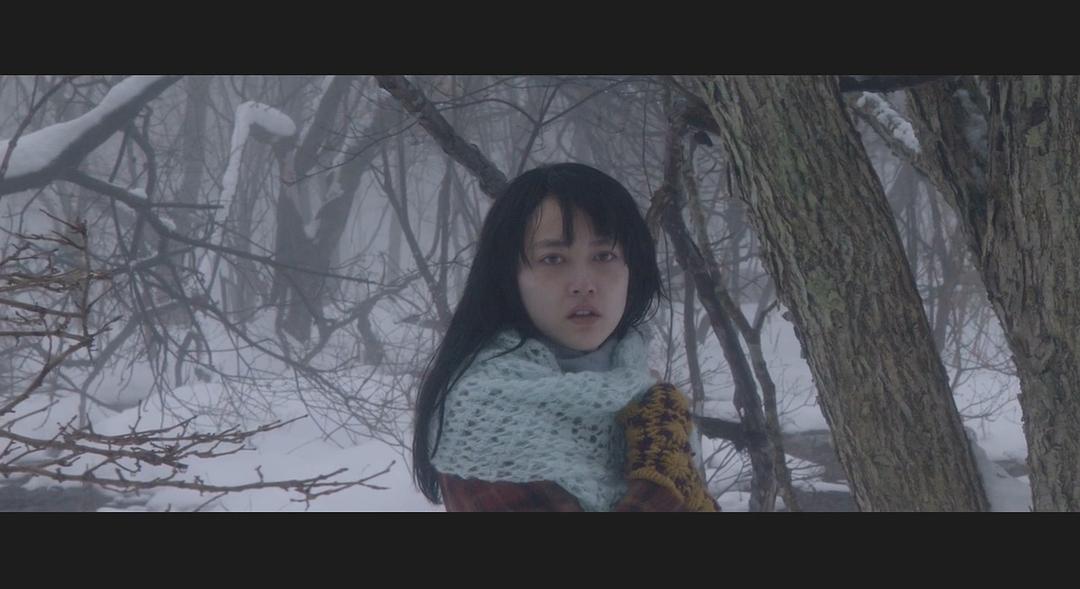 《挪威的森林》:为何他们明明经历了相同的失去,最后却同道殊途