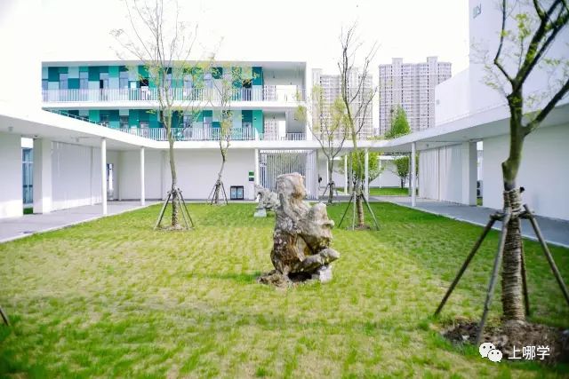 上海最好的十大民办初中,上海各区的顶级初中和一流初中