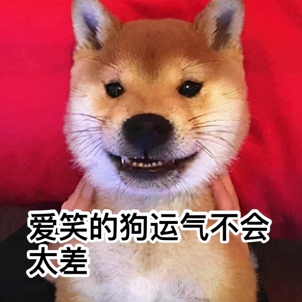 采购助理新手入门必备知识,怎么快速上手pm工作