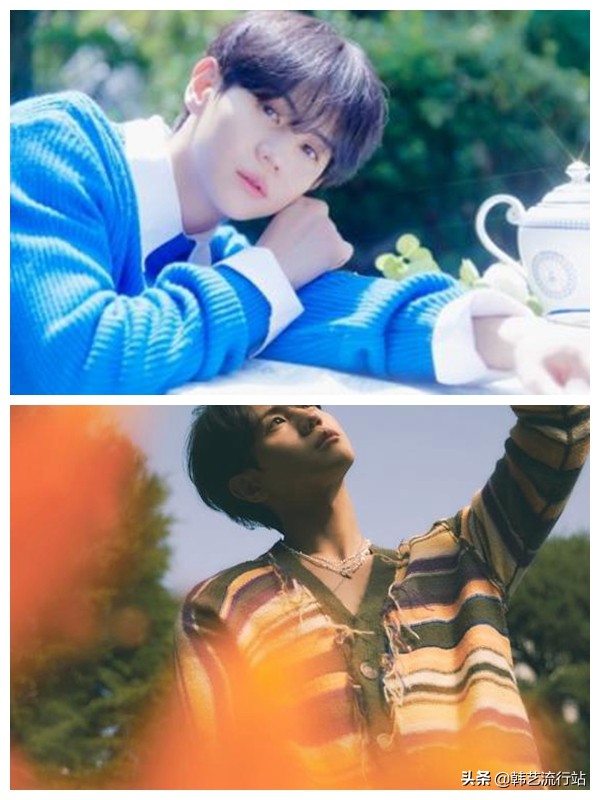 不知道你喜欢什么样的毛衣款式,所以我多准备了一点