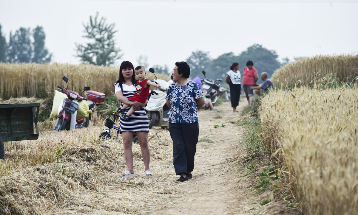 国家对村村通快递政策,国家对农村快递的政策
