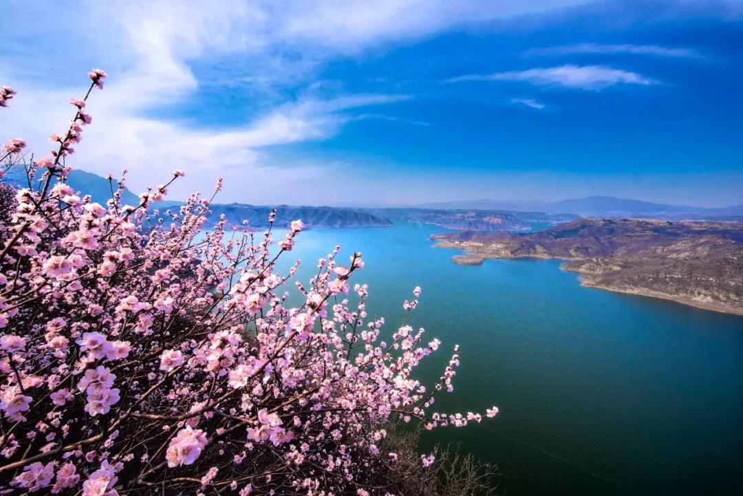 洛阳第三职专,洛阳第三季度gdp