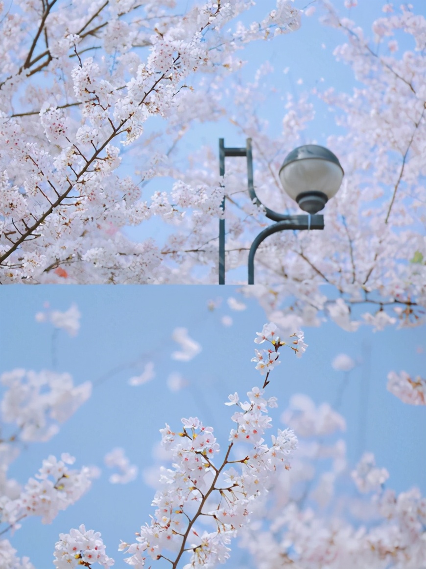 勇闯一次武汉歌舞厅？保证你30分钟抱头逃走，实在是太野了